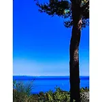 La Mandorla Salata Capoliveri (Isola d'Elba)