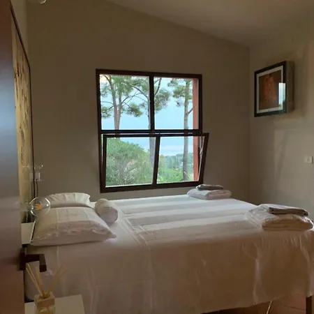 La Mandorla Salata *