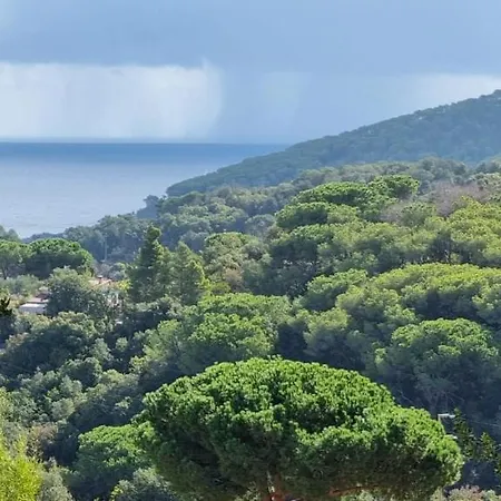 Tatil Evi La Mandorla Salata *