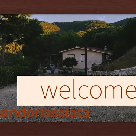 La Mandorla Salata *