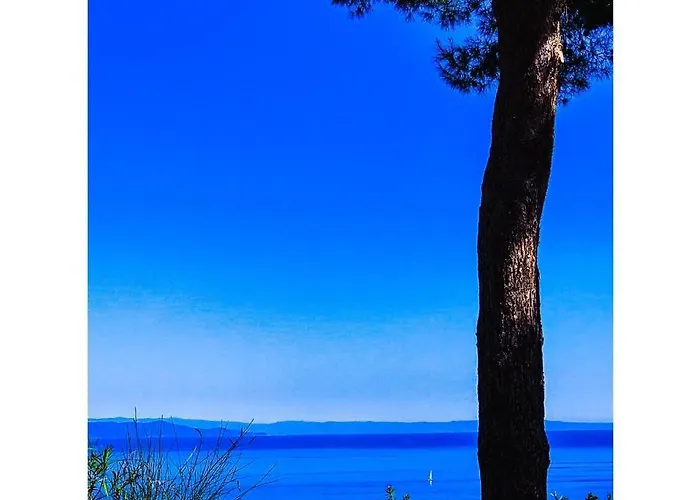 La Mandorla Salata Capoliveri