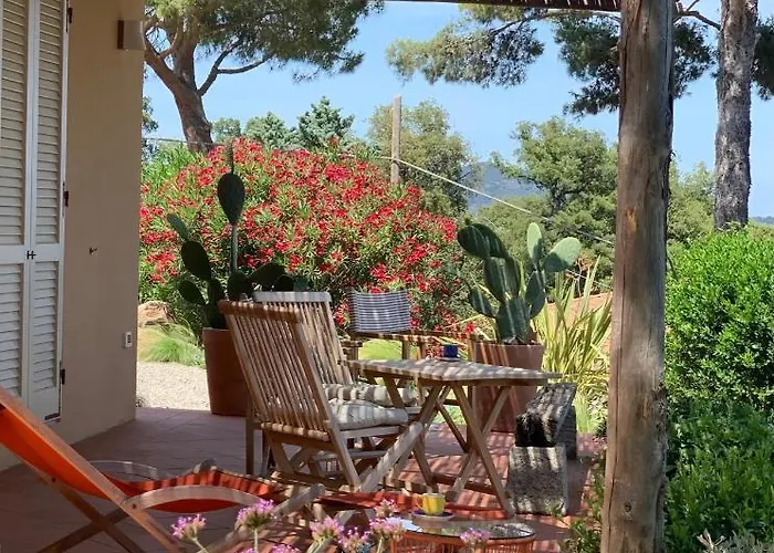 La Mandorla Salata Nyaraló *