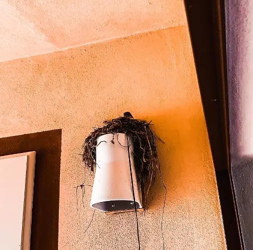 Nyaraló La Mandorla Salata *